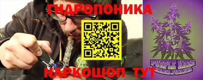 Альфа ПВП Краснознаменск