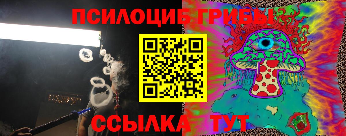 Мыски  купить  сайты  Вход с VPN  Галлюциногенные грибы ЛСД  Галлюциногенные грибы GOLDEN TEACHER 